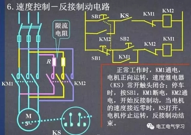 595999精准五码