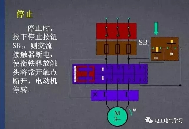 595999精准五码