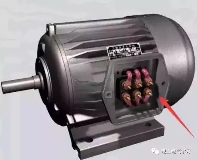 595999精准五码