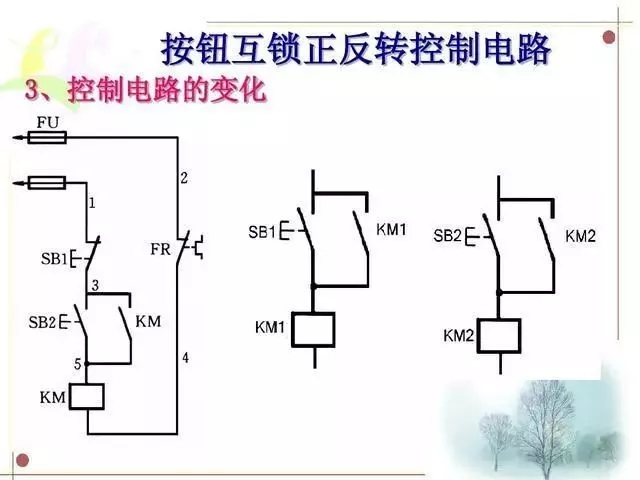 595999精准五码