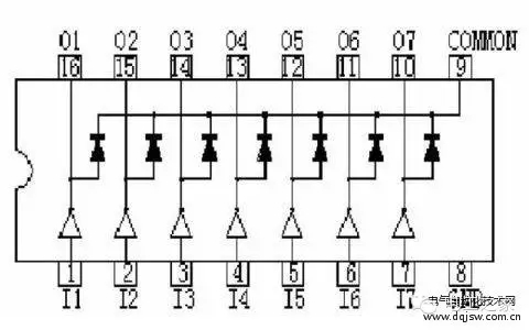 595999精准五码