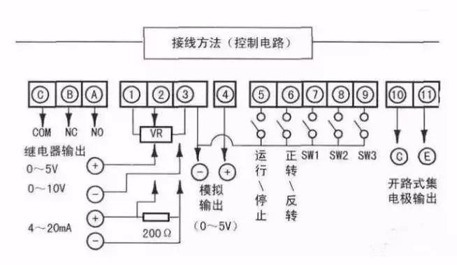 595999精准五码