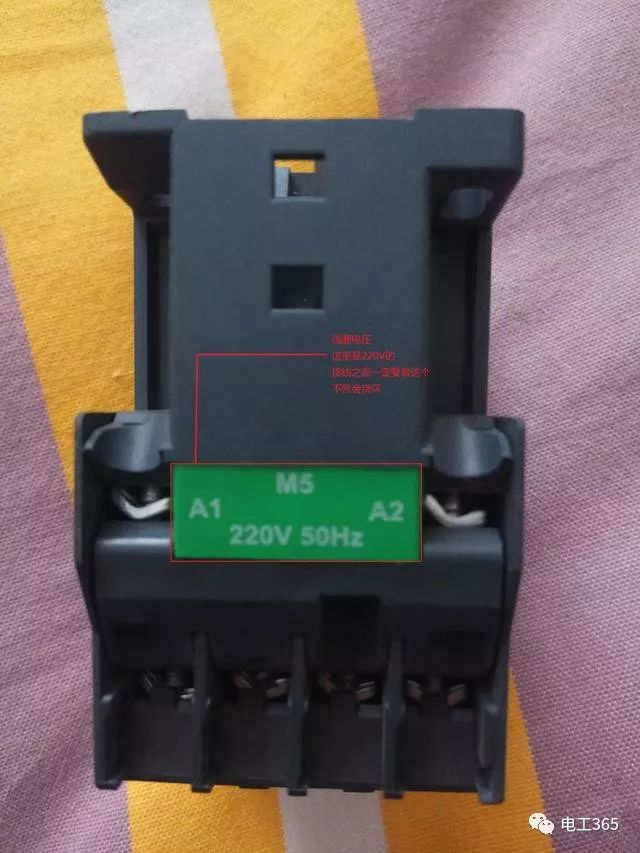595999精准五码